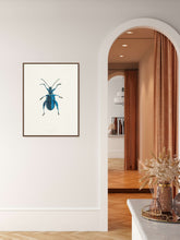 Load image into Gallery viewer, Metallic Leaf Beetle / Underside