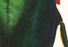 Load image into Gallery viewer, Green Rose Chafer (framed)