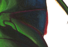 Load image into Gallery viewer, Green Rose Chafer / Under (framed)