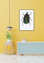 Load image into Gallery viewer, Green Rose Chafer / Underside - Large Print
