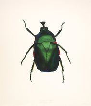 Load image into Gallery viewer, Green Rose Chafer (framed)