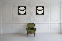 Load image into Gallery viewer, Cicada Tosena Albata