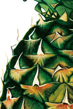 Load image into Gallery viewer, An Excellent Tufted Fruit - Large Print