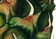 Load image into Gallery viewer, An Excellent Tufted Fruit