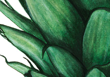 Load image into Gallery viewer, An Excellent Tufted Fruit