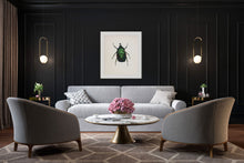 Load image into Gallery viewer, Green Rose Chafer (framed)