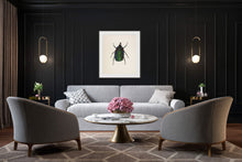 Load image into Gallery viewer, Green Rose Chafer / Under (framed)
