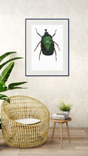 Load image into Gallery viewer, Green Rose Chafer - Large Print