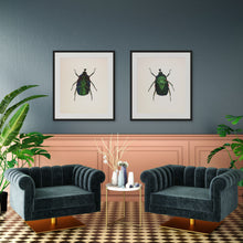 Load image into Gallery viewer, Green Rose Chafer (framed)