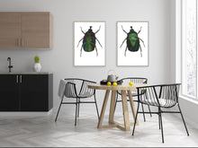 Load image into Gallery viewer, Green Rose Chafer - Large Print