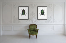 Load image into Gallery viewer, Green Rose Chafer / Underside - Large Print