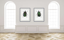 Load image into Gallery viewer, Green Rose Chafer - Large Print