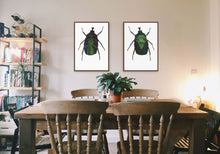 Load image into Gallery viewer, Green Rose Chafer - Large Print