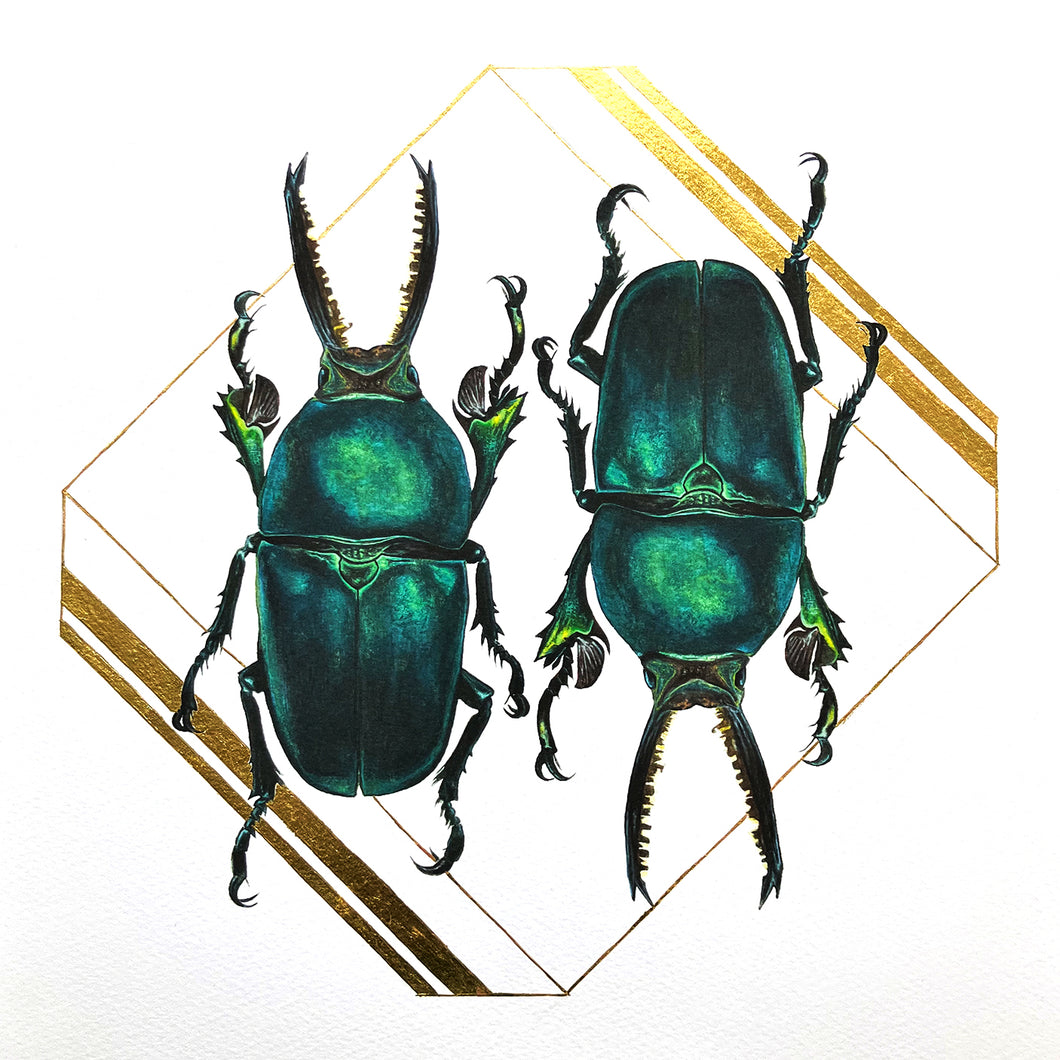 Two Stag Beetles with Gold No.1