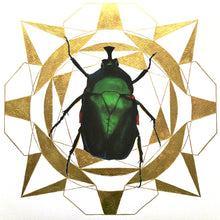 Load image into Gallery viewer, Green Rose Chafer with Gold No.1
