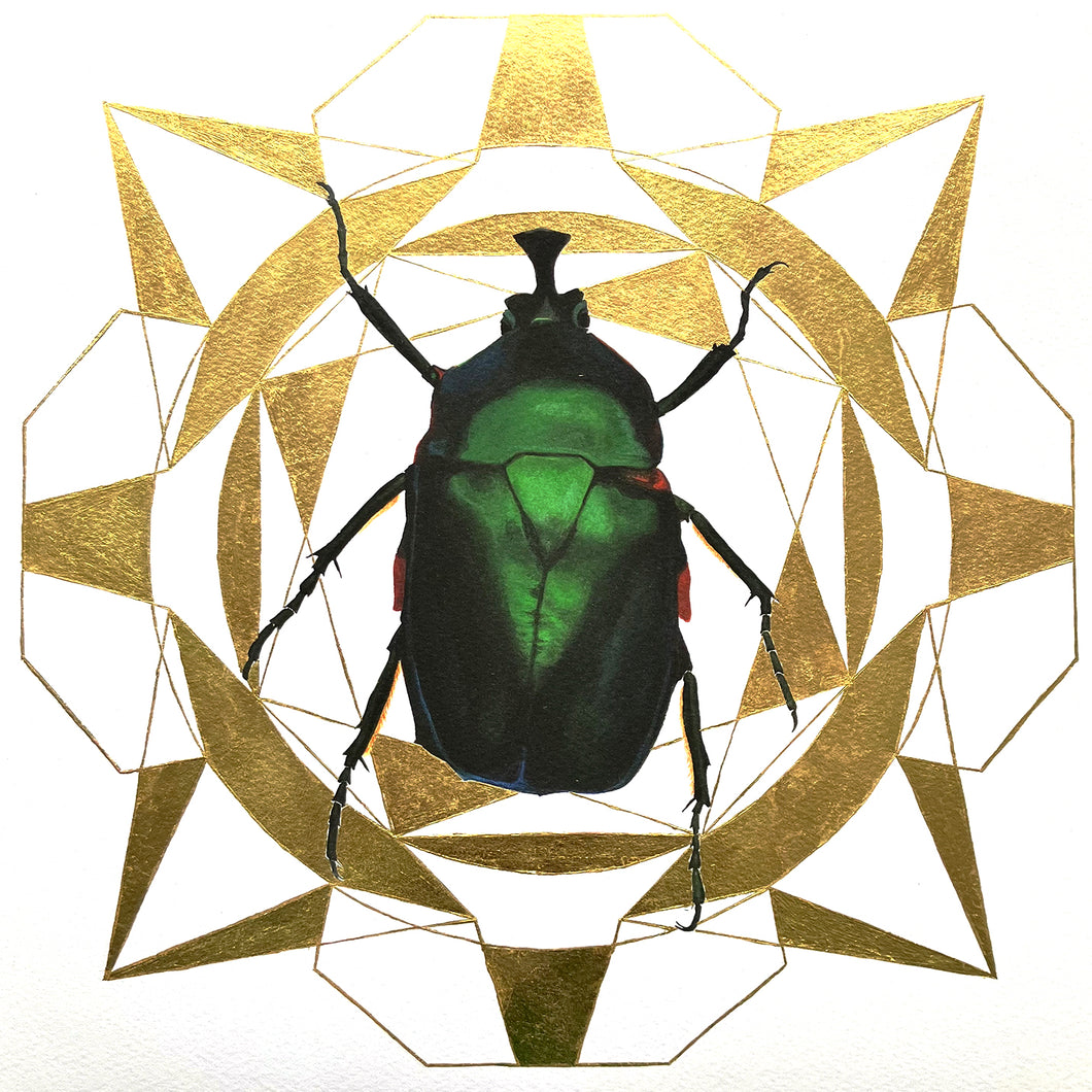 Green Rose Chafer with Gold No.1