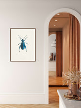 Load image into Gallery viewer, Metallic Leaf Beetle / Underside
