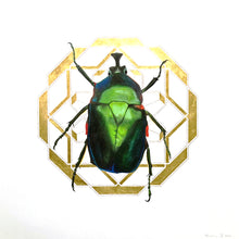 Load image into Gallery viewer, Green Rose Chafer with Gold No.2
