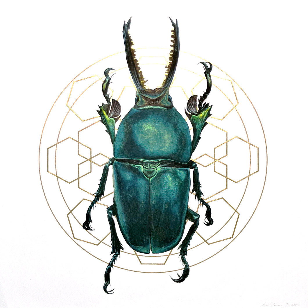 Stag Beetle with Gold No.1
