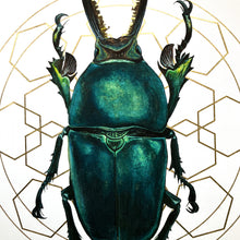 Load image into Gallery viewer, Stag Beetle with Gold No.1
