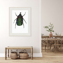 Load image into Gallery viewer, Green Rose Chafer / Under (framed)
