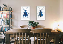 Load image into Gallery viewer, Metallic Leaf Beetle / Underside - Large Print

