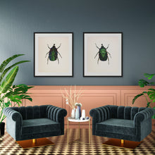 Load image into Gallery viewer, Green Rose Chafer (framed)

