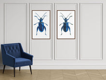 Load image into Gallery viewer, Metallic Leaf Beetle / Underside - Large Print
