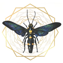 Load image into Gallery viewer, Giant Mega Wasp with Gold No.2
