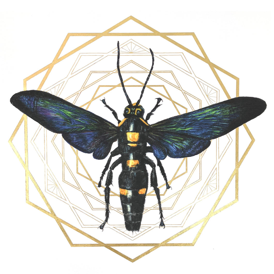 Giant Mega Wasp with Gold No.2